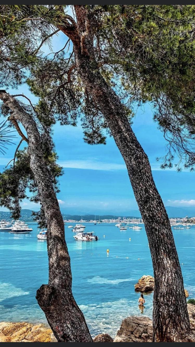 Apartment Beautiful Design Next To The Sea Antibes